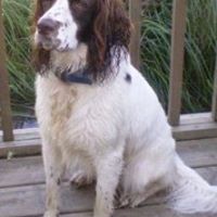 Linda Howarth Photo 7