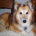 Tasha Good Photo 21