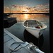 David Mallett Photo 42