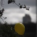 Diana Trask Photo 20