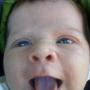 Carl Snyder Photo 28