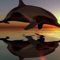 Debra Meeks Photo 1