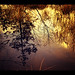 Autumn Burns Photo 39
