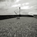 Paul Cane Photo 24