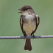 Phoebe Brown Photo 43