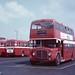 Lynn Royal Photo 21