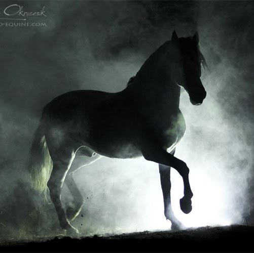 Gary Painter Photo 12