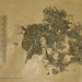 Han Cao Photo 24