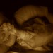 Buddy Roe Photo 29