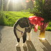 Murphy Bailey Photo 25