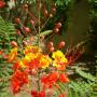 Tina Bowles Photo 20