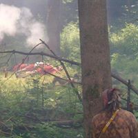 Dennis Mckibben Photo 3