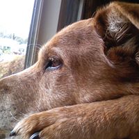 Janice Hirsch Photo 1