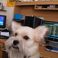 Buddy Brown Photo 1
