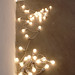 Felix Gonzalez Photo 45