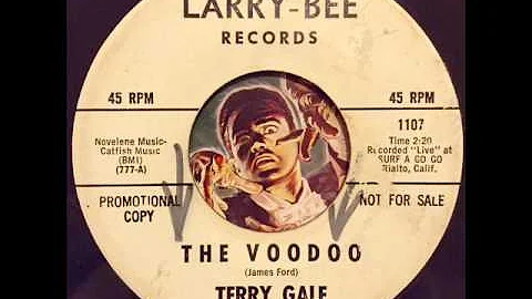 Terry Gale Photo 29