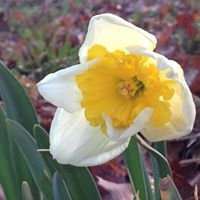 Dianne Bray Photo 7