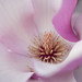Jessica Hallett Photo 36