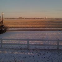 Tom Mills Photo 6