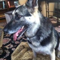 Rhonda Rife Photo 6