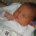 Ellen Cox Photo 40