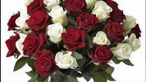 Henry Rosas Photo 25