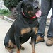 Alma Foster Photo 24