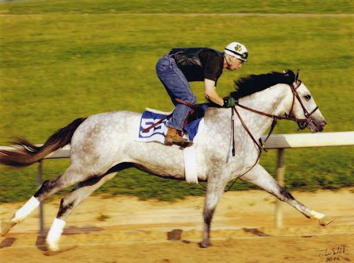 Richard Selby Photo 13