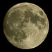 Luz Luna Photo 37
