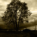 Kathryn Storm Photo 21
