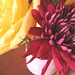 Jessica House Photo 40
