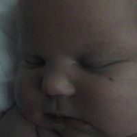 Melissa Willoughby Photo 5