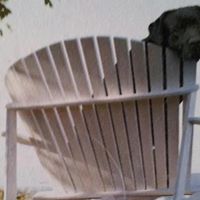 Lisa Hammiel Photo 1