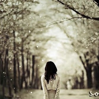 Hao Vo Photo 16