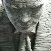Alan Slate Photo 24