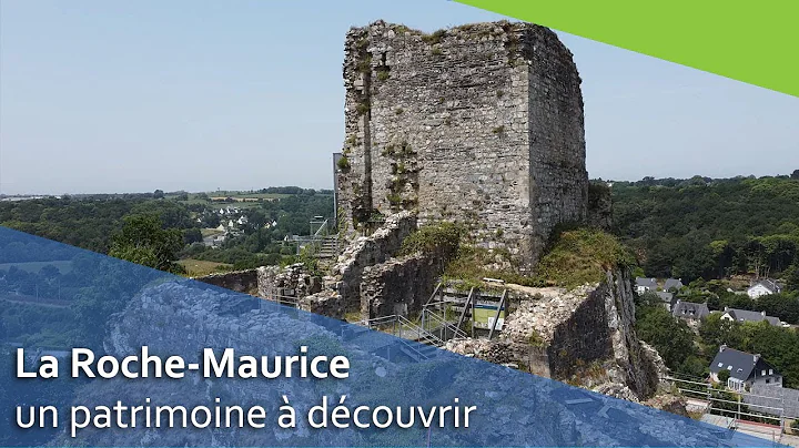 Maurice Roche Photo 24