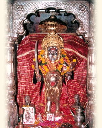 Rajesh Parekh Photo 11