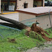 Evelyn Garrison Photo 38