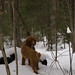 Mark Burnham Photo 42