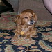 Rusty Campbell Photo 41