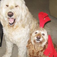 Beth Marks Photo 6
