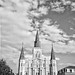 Wayne Parrish Photo 42