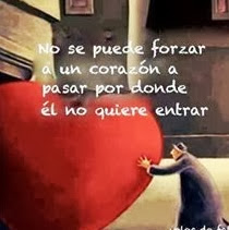 Maribel Chavarria Photo 11