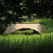 Michael Zentner Photo 17