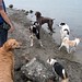 Jasper Bailey Photo 24