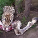 Martha Lea Photo 15