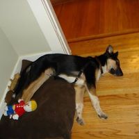 Keith Sears Photo 7
