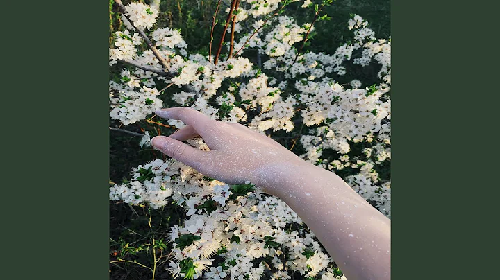 Brook Rose Photo 22