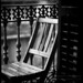 Thomas Macintosh Photo 27