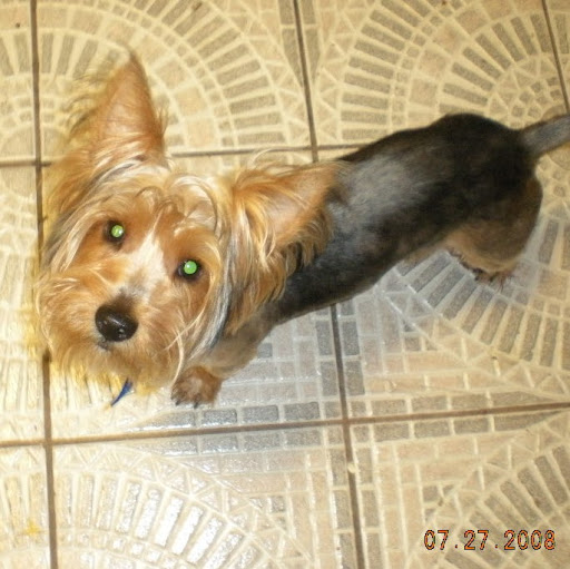 Frances Nieves Photo 13
